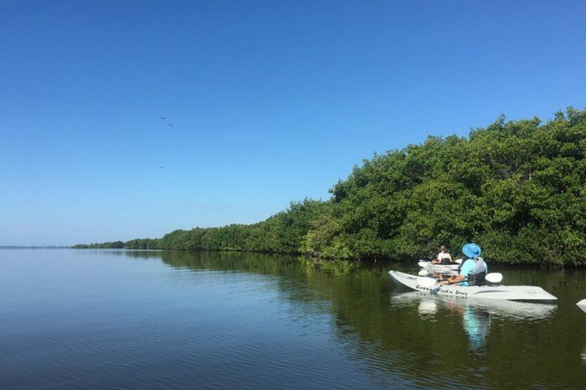 Smooth sailing in the lagoon 3