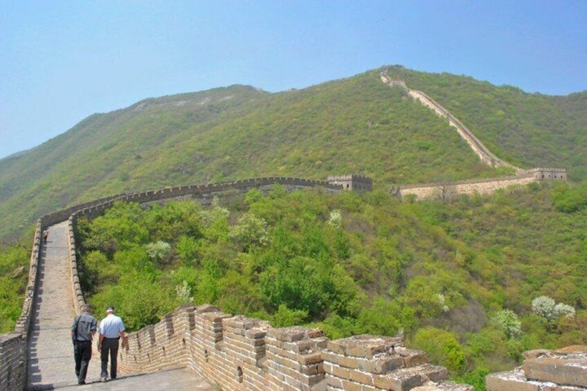 A section of the Great Wall of China with a steep incline, lush green vegetation, and a clear sky. 2