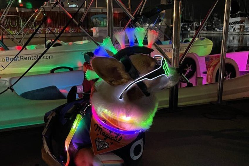 Glow Electric Boat night date experience in San Diego Bay 2