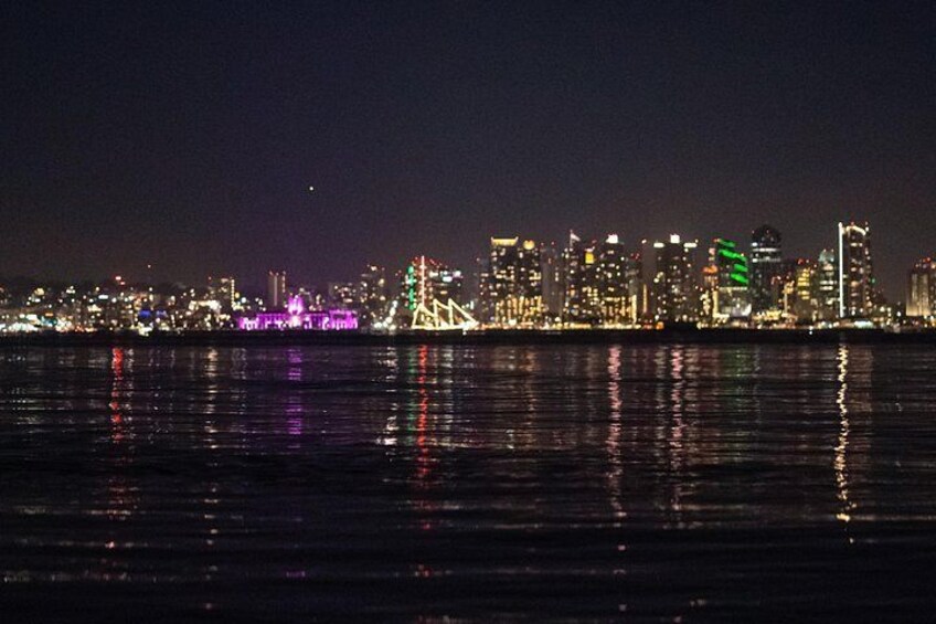 Unique night date idea in San Diego Bay for couples with dogs and families with kids 2