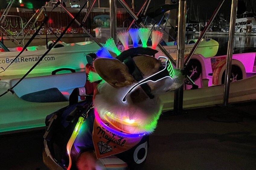 Glow Electric Boat night date experience in San Diego Bay 2