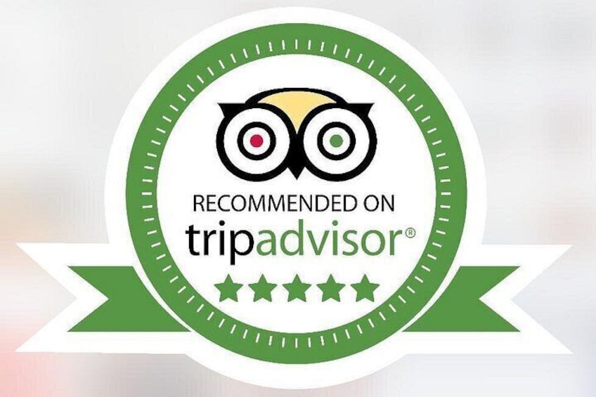 Check out our fantastic 5* reviews! 2