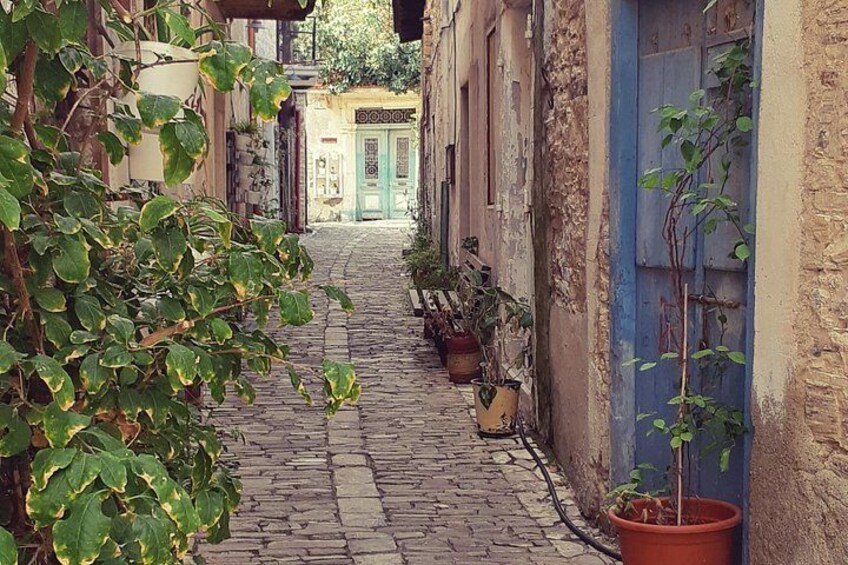A narrow cobblestone street lined with buildings, potted plants, and a blue door. 4