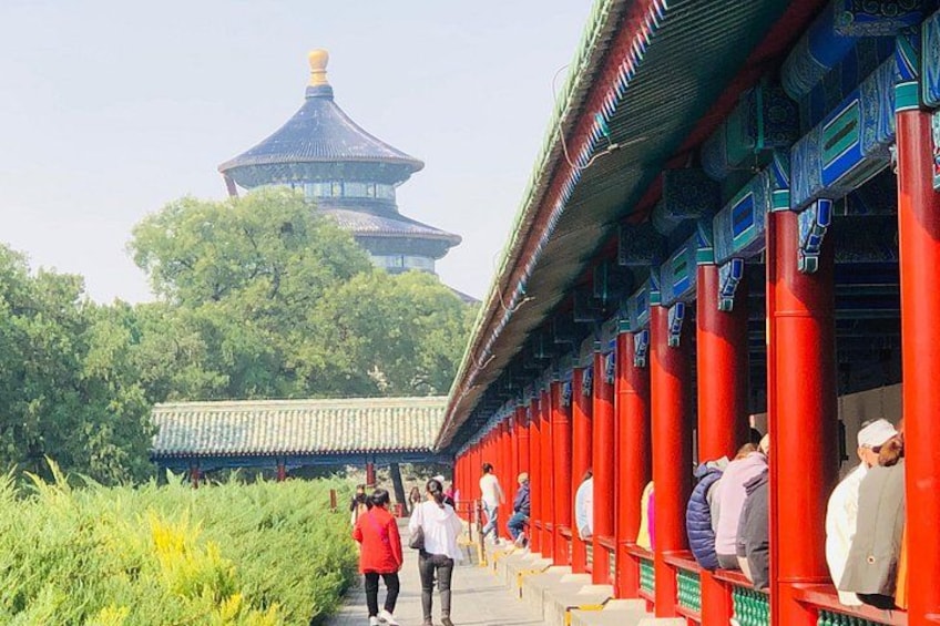 Temple of Heaven Tickets Booking 4