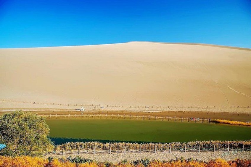 A vast desert landscape with a large sand dune, a green field, and a fence line. 5