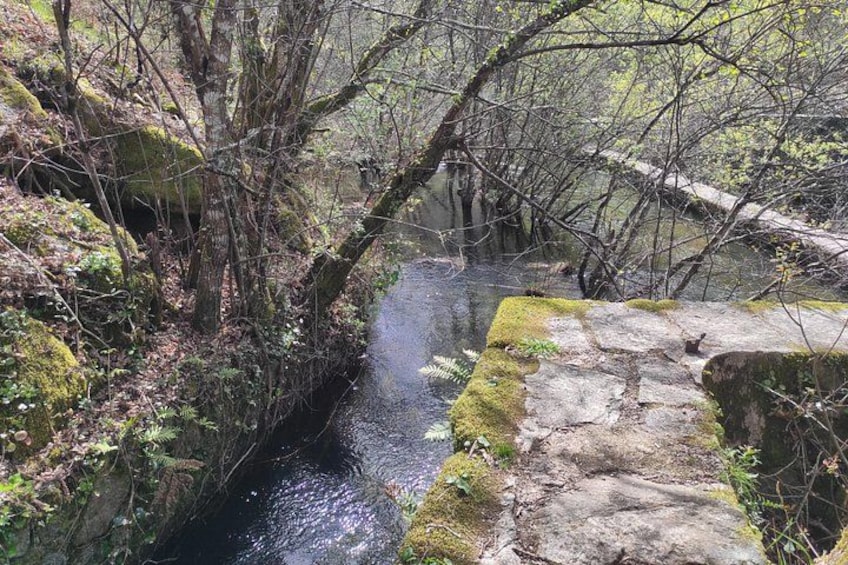 Waterfalls, Heritage and Nature in Gerês Park - from Porto 5