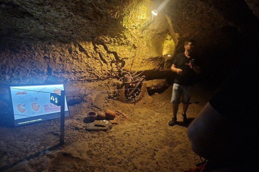 Caves prehistory of Esplugues with hotel pickup 3