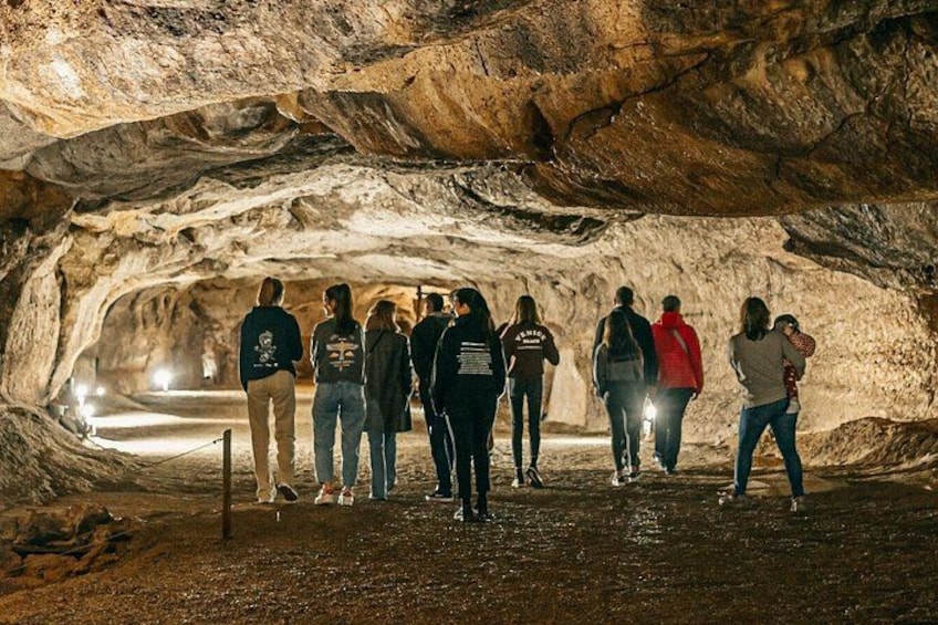 Caves prehistory of Esplugues with hotel pickup 3