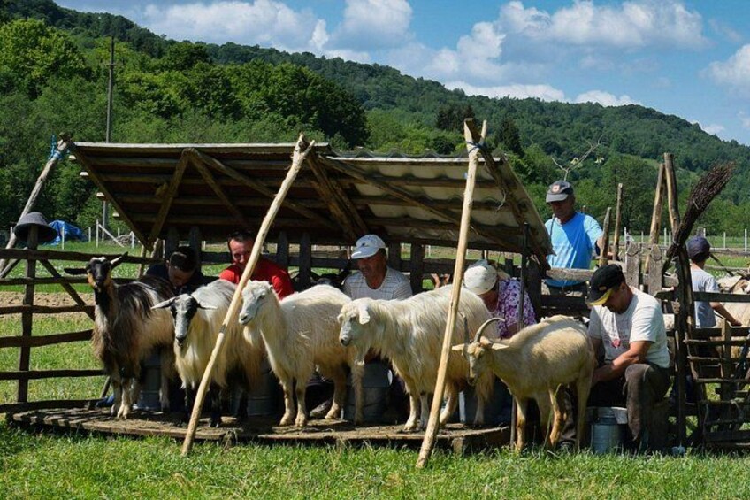 Maramures best, full day tour from Cluj 2