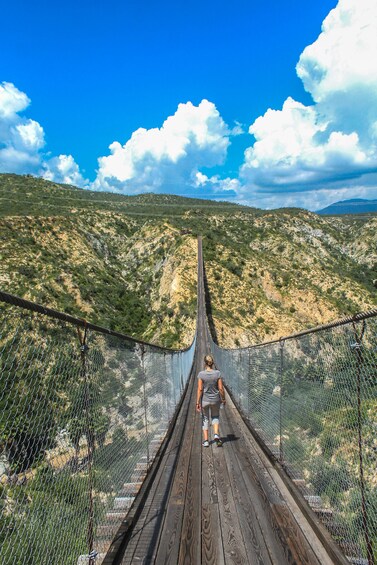A person walking on a suspension bridge over a canyon. 4