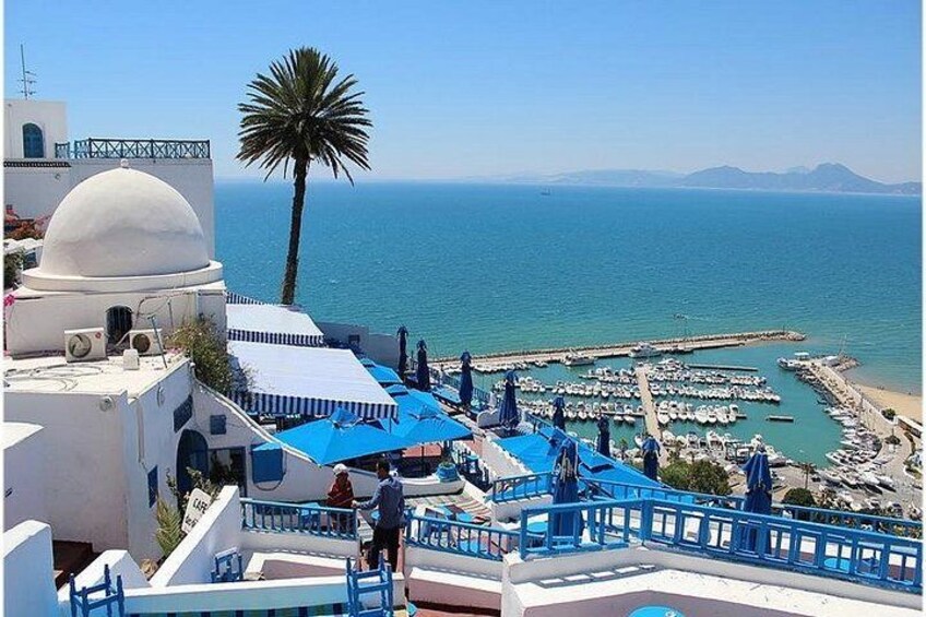 A coastal town with white buildings, a palm tree, and a marina. 5