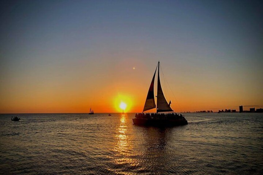 Dolphin Sunset Cruise in Panama City Beach on the "Island Time" 5