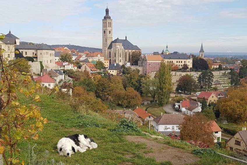 Kutná Hora and Bone church - private with PersonalPragueGuide 2