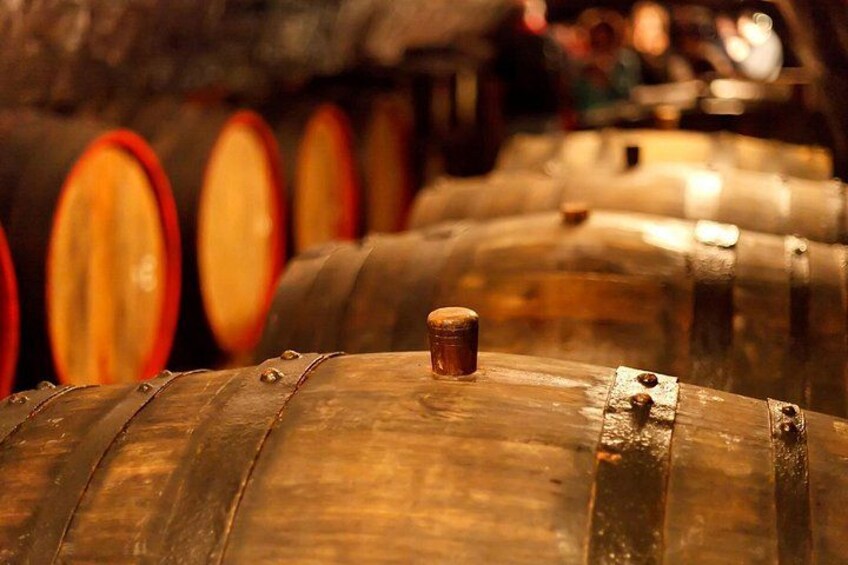 Private Lake Balaton Experience with an unforgettable Wine Tasting 5