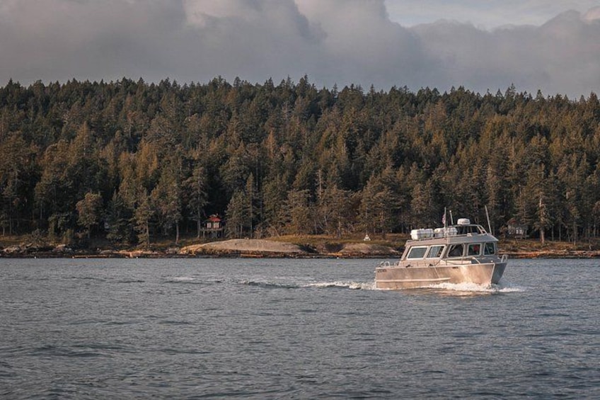 A boat on a body of water with a forested shoreline in the background. 1