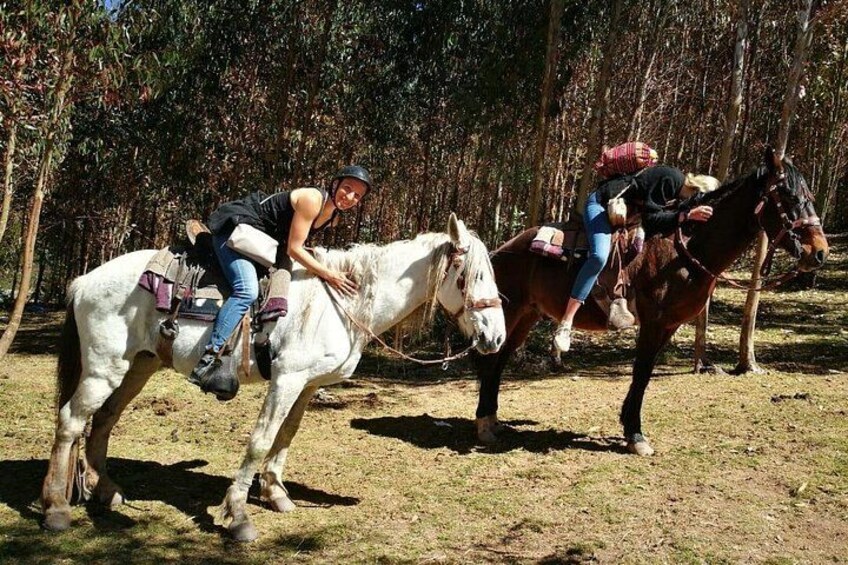 Two people riding horses in a forested area. 3