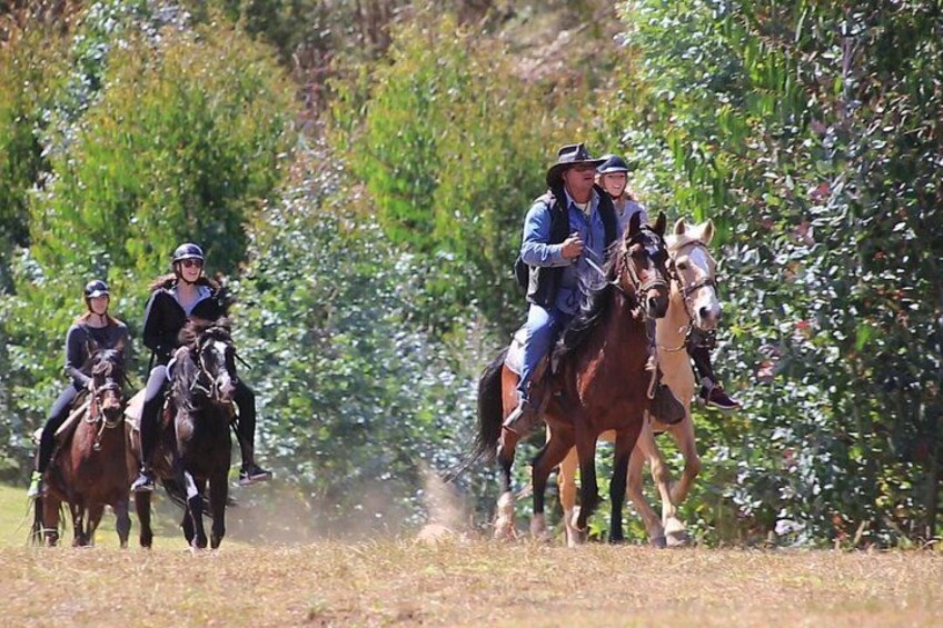 A group of people riding horses on a trail surrounded by greenery. 4