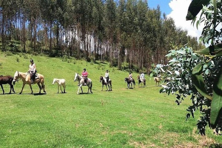 Horseback Riding Mystic Tour Temple of the Moon & Chacan Mountain 2