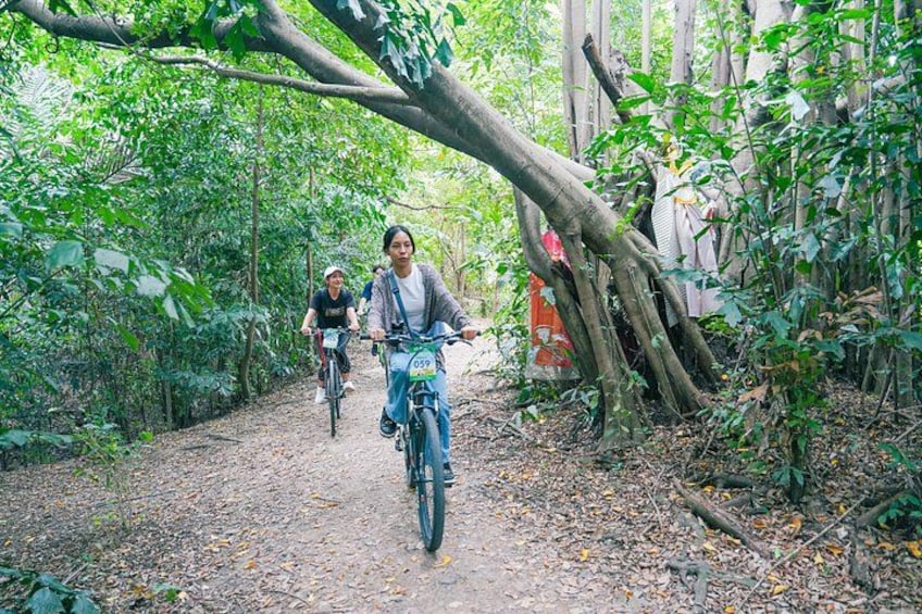Two people riding bicycles on a forest trail. 3