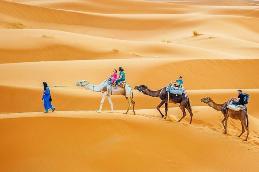 Une caravane de chameaux dans un désert de dunes de sable. 1