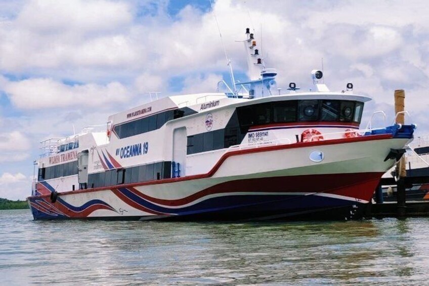 A large white and red boat named "OCEANNA 19" with blue and red wave patterns on its side, docked at a marina. 5