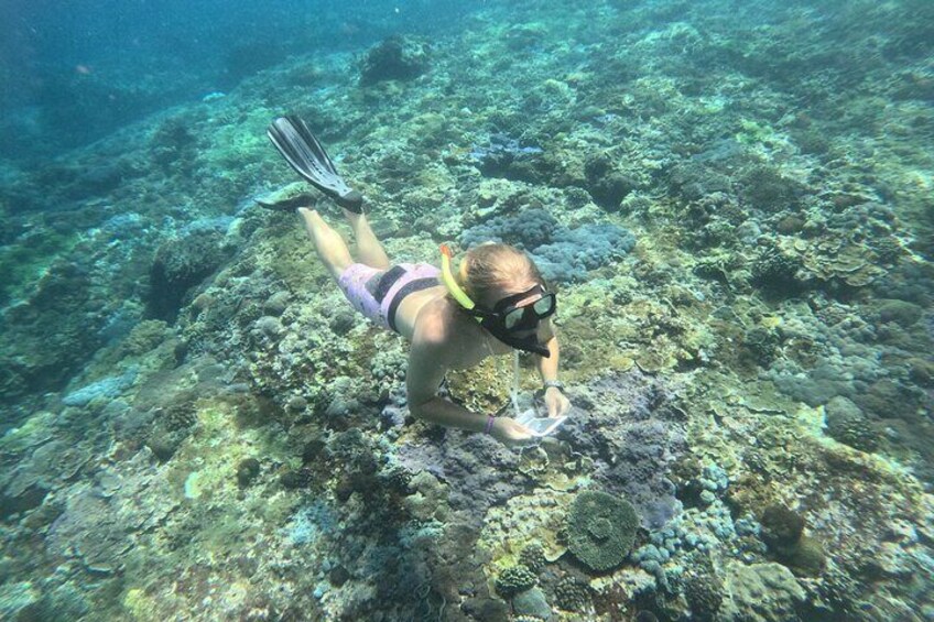 Snorkeling Tour