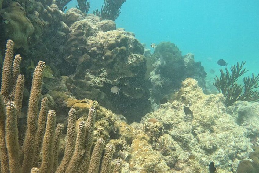 Miches Eco Snorkeling Tour Media Luna 1