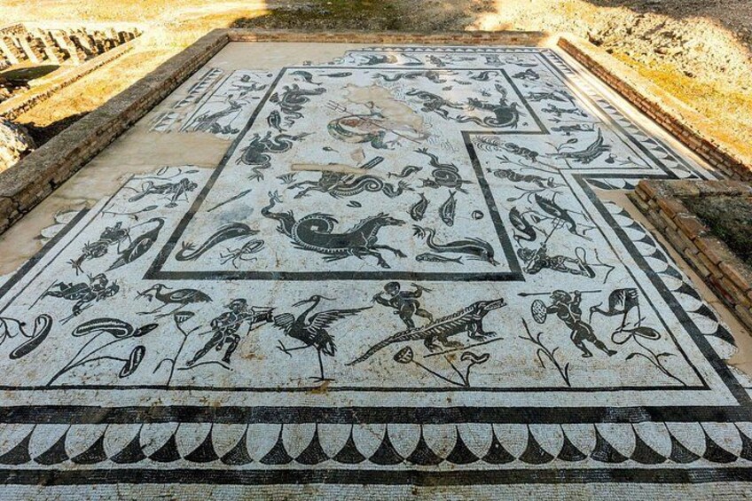 Group Excursion fron Seville to Italica Seville Roman Town 2