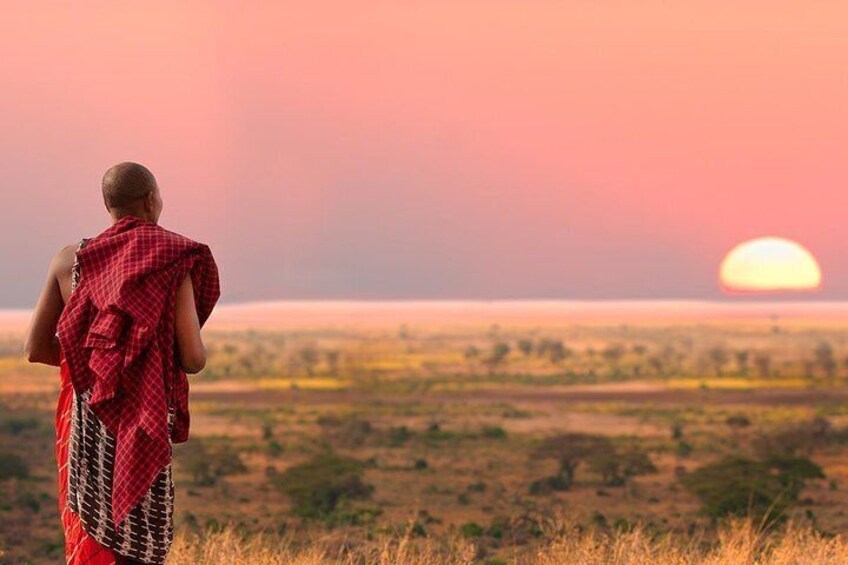 A person standing in a savanna landscape during sunset. 4