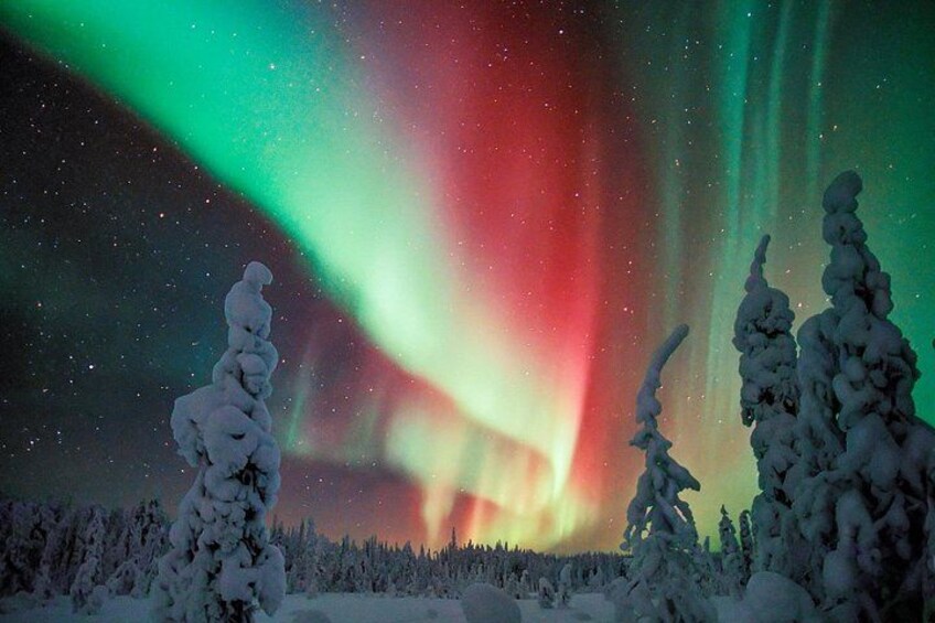 Private Aurora Tour (1-4) - Saariselkä 3