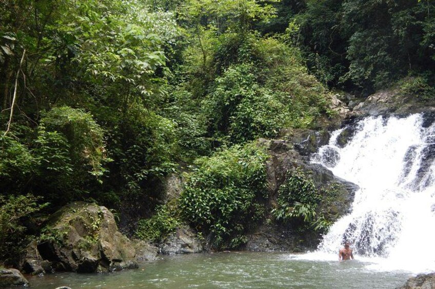 Een waterval in een bebost gebied met weelderige begroeiing en rotsen. 5