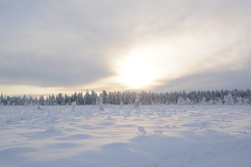 Husky Tour Sit and Drive Combo Tour from Kiruna