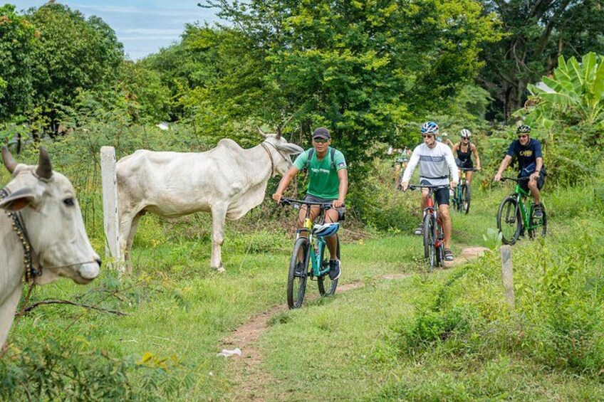 Phnom Penh Silk Island Cycling and Culinary Adventure 2