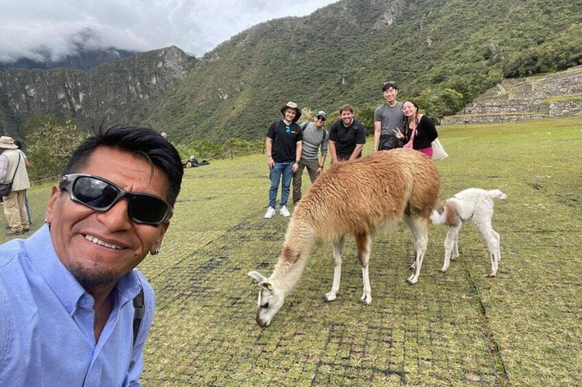 Machu Picchu 3