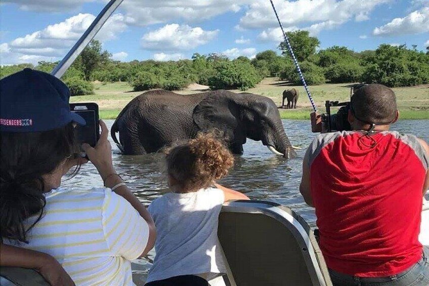 3 Hours Chobe Boat Cruise, Botswana