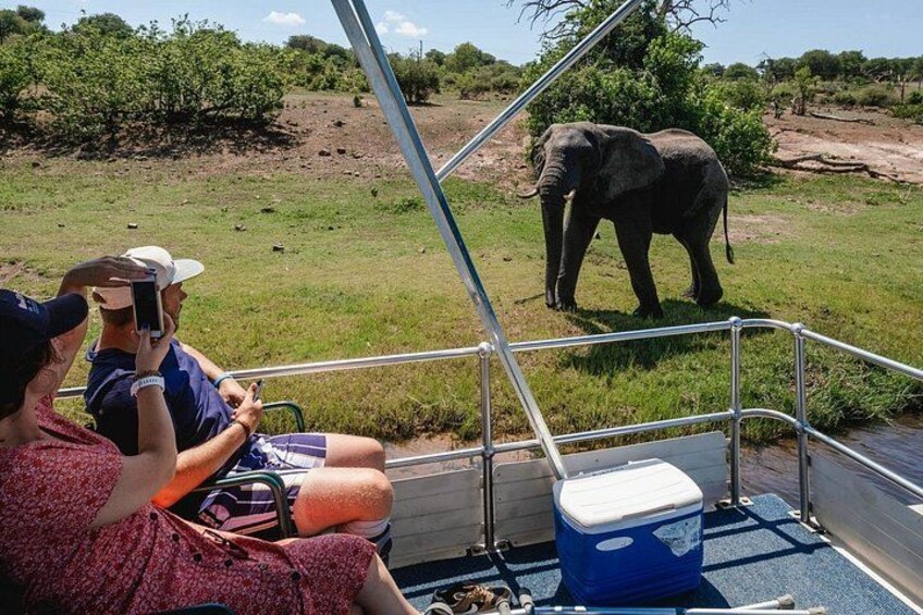 Een boot met passagiers die een olifant in een grasrijk gebied bekijken. 3