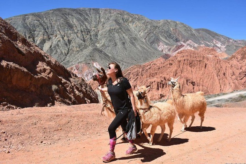 Una persona che cammina con lama in un paesaggio desertico con montagne sullo sfondo. 1
