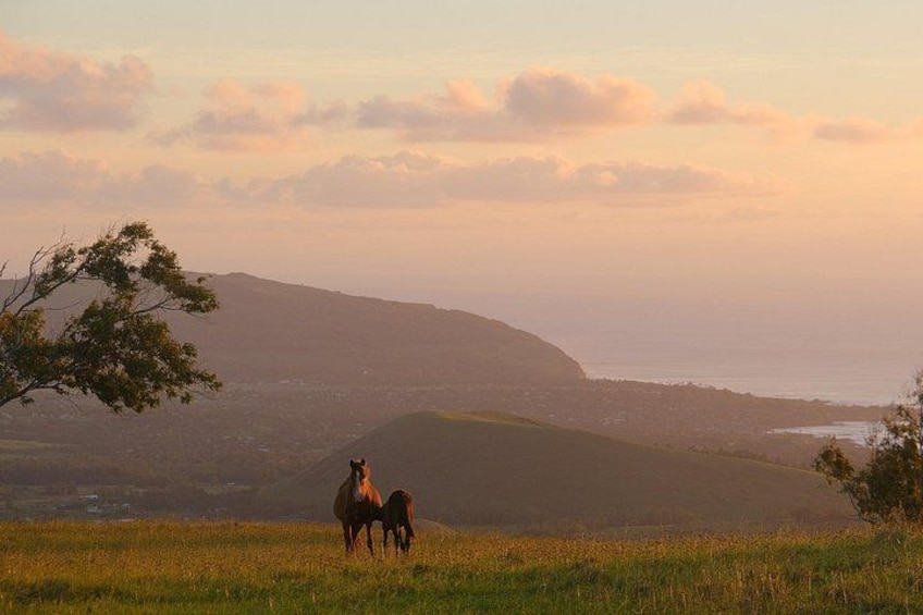 A horse and a rider on a grassy hill with a view of the ocean and hills in the background. 1