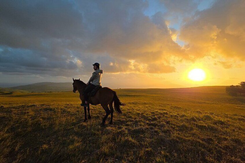 Golden Hour Horseback Ride on Easter Island – Scenic Experience 2