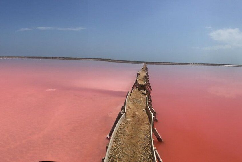 Pink Sea Galerazamba