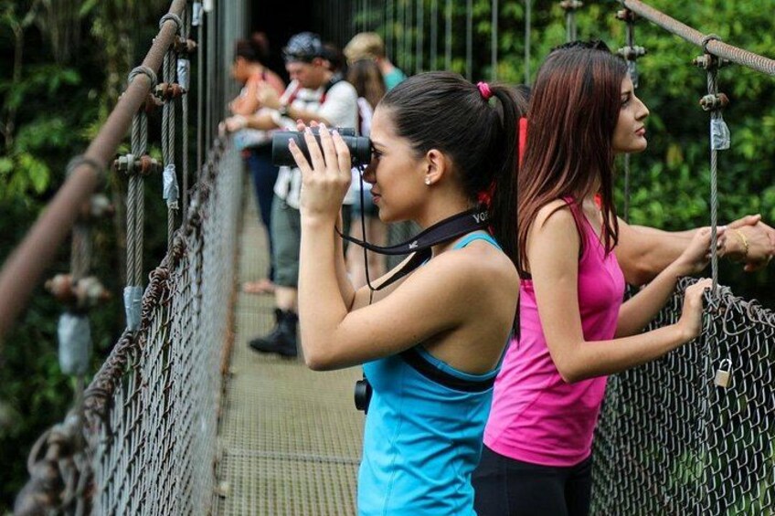 Menschen auf einer Hängebrücke mit einem Netzsteg, umgeben von viel Grün. 1
