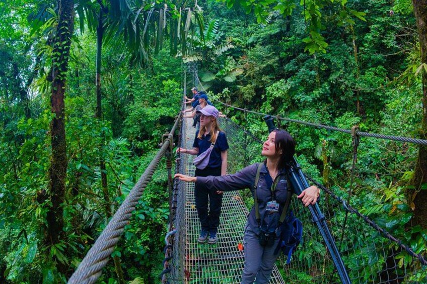 Eine Person überquert eine Seilbrücke in dichtem Wald. 3