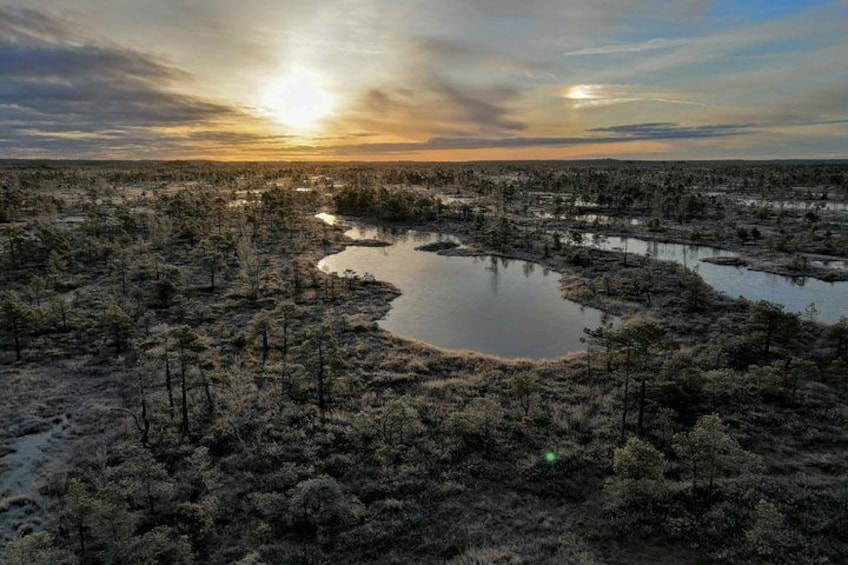 Een landschap met een groot wateroppervlak, omringd door weelderige begroeiing en bomen. 3