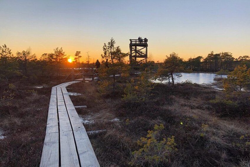 Sunset at Kemeri National Park 2