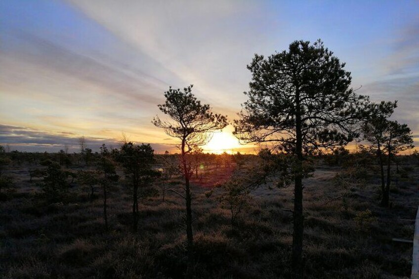 Sunset at Kemeri National Park 3