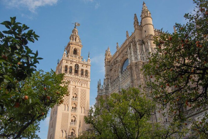 Seville Food Tour: Tapas, Drinks and Delights with a Local 2