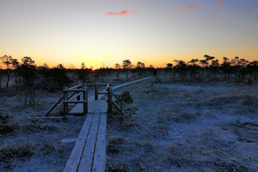 A wooden boardwalk leading through a snowy landscape with sparse vegetation and a sunset in the background. 1