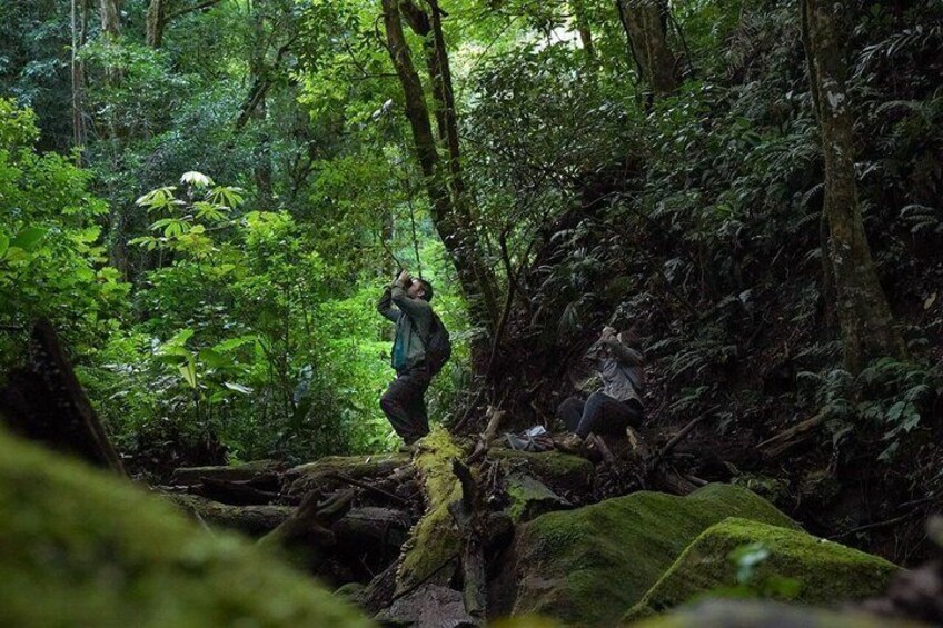 Monteverde Cloud Forest Tour from San Jose 1