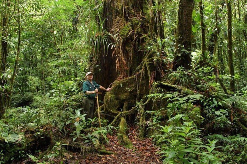 Monteverde Cloud Forest Tour from San Jose 3