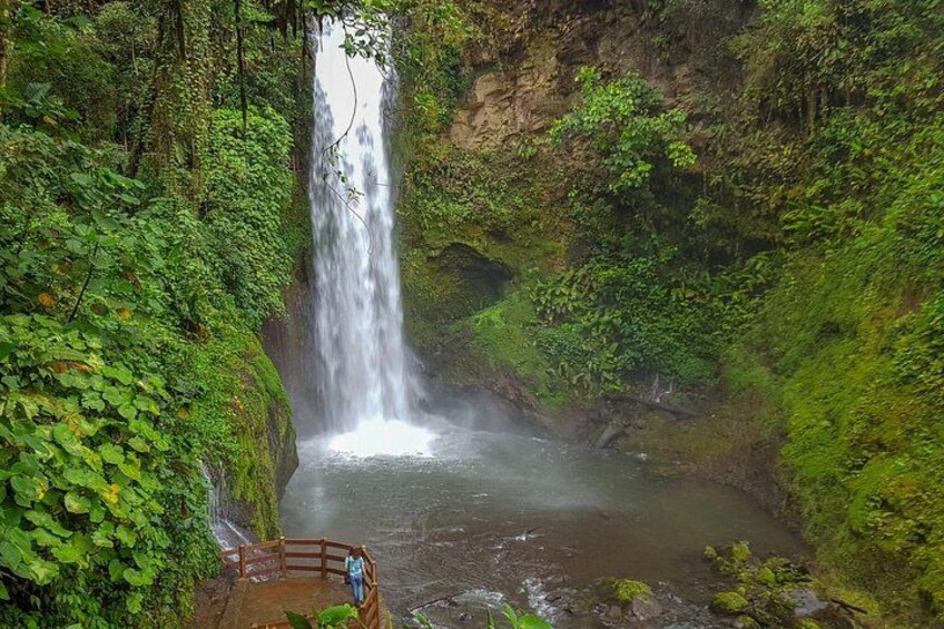 Super Combo Tour: Waterfalls Gardens + Coffee Tour + Poás Volcano 3